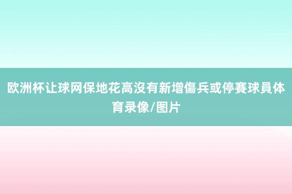 欧洲杯让球网保地花高沒有新增傷兵或停賽球員体育录像/图片