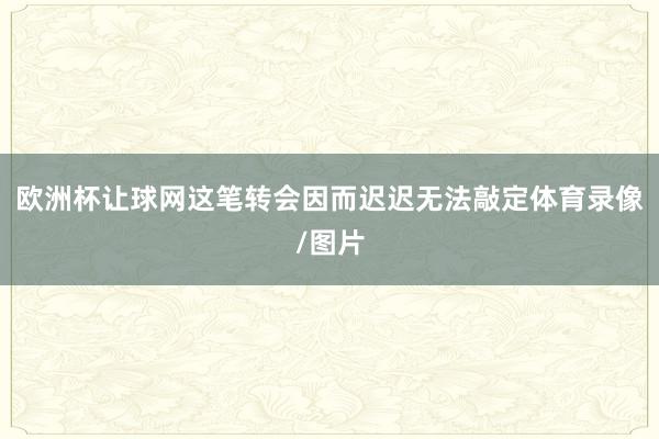 欧洲杯让球网这笔转会因而迟迟无法敲定体育录像/图片