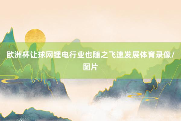 欧洲杯让球网锂电行业也随之飞速发展体育录像/图片