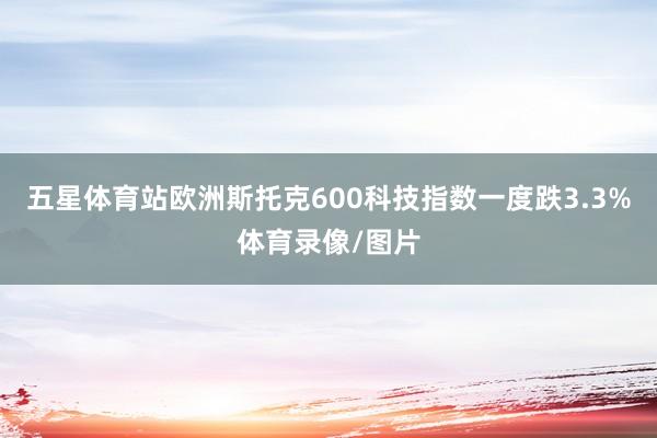 五星体育站欧洲斯托克600科技指数一度跌3.3%体育录像/图片