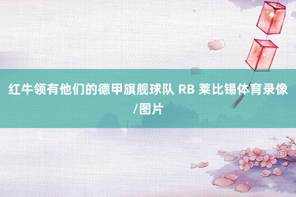 红牛领有他们的德甲旗舰球队 RB 莱比锡体育录像/图片